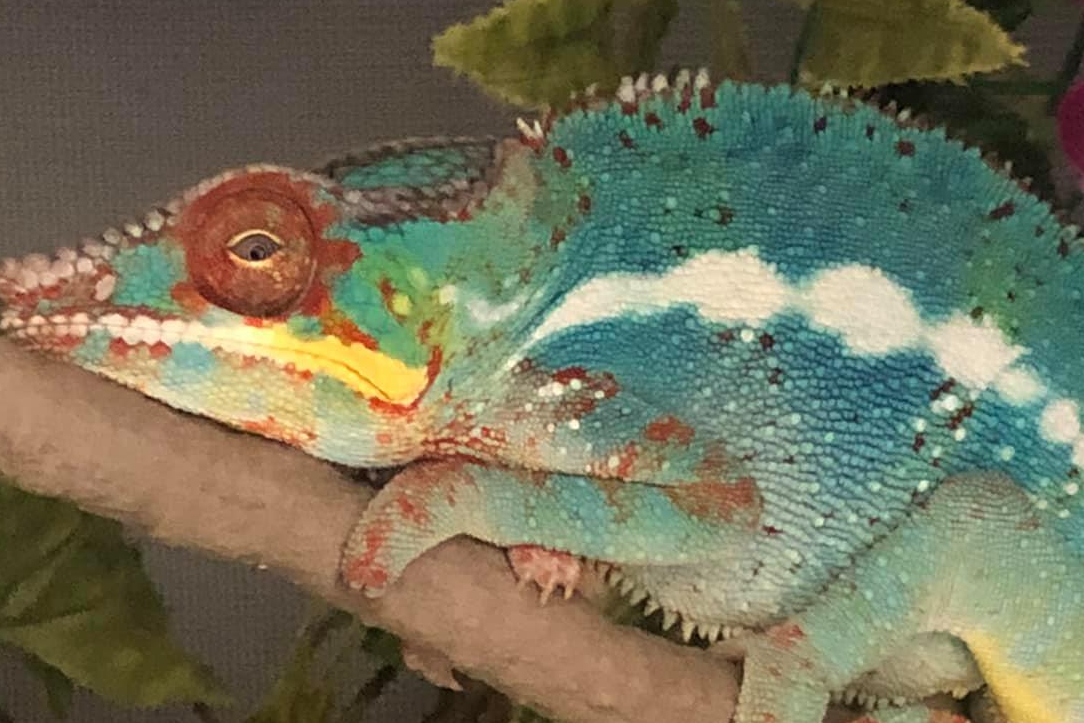 Always trust the scales