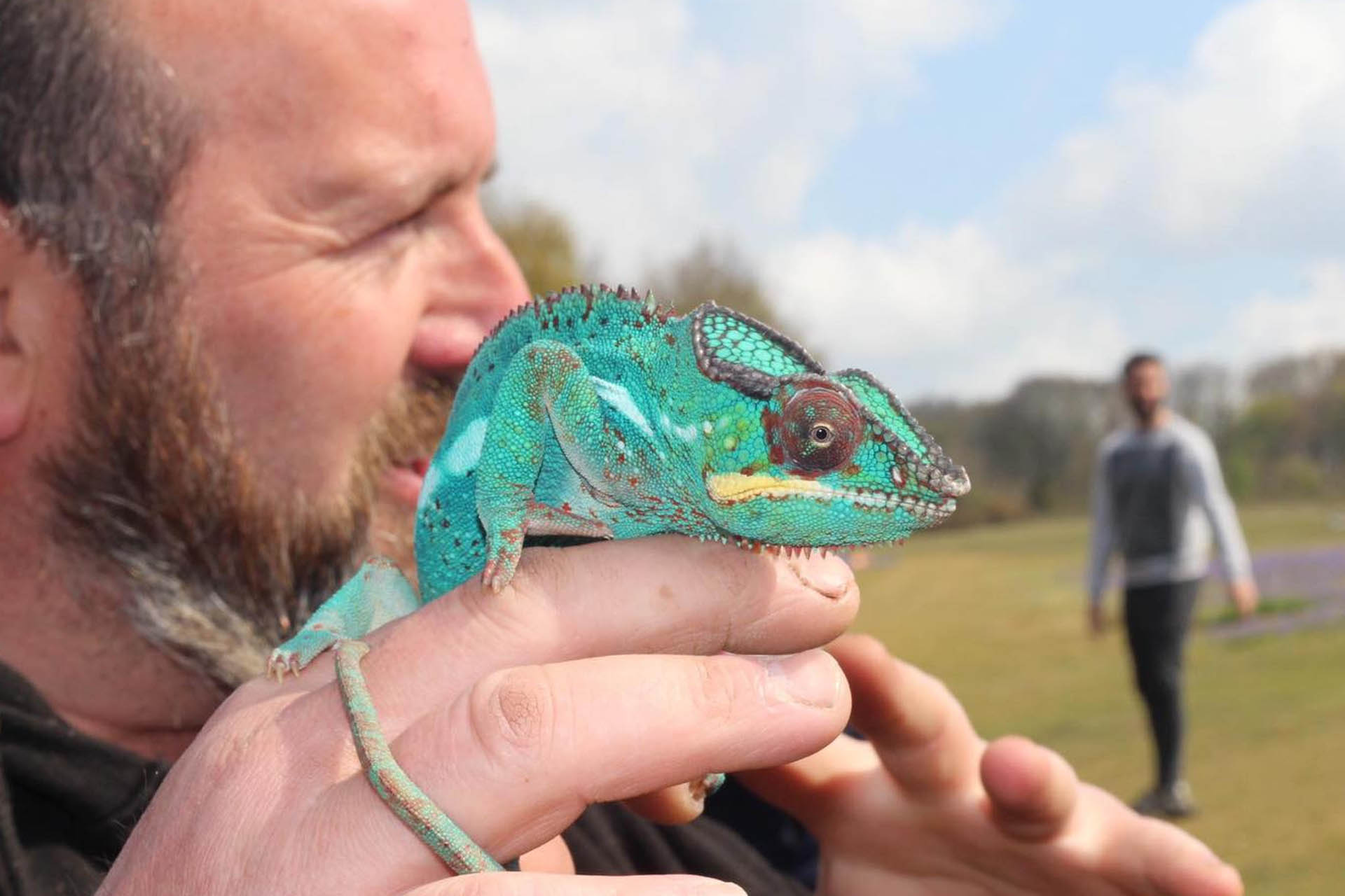 Some are scaly