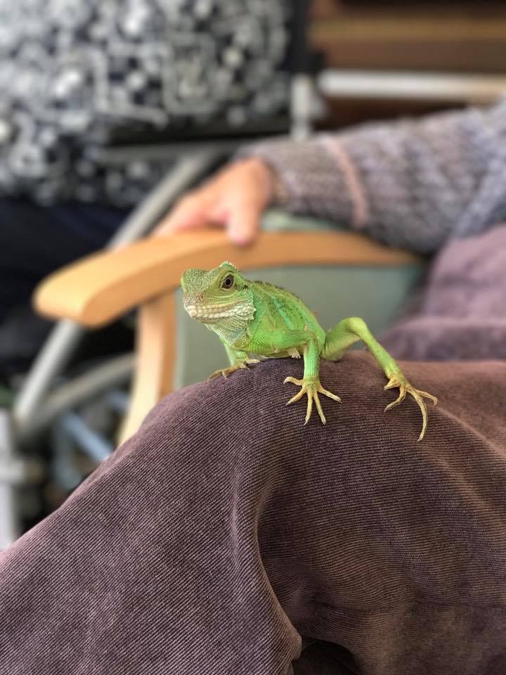 Meet Alan